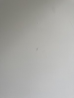 Move-In Photos:  Was provided with a falsified move-in checklist and here are pictures I took around the apartment after receiving my keys.