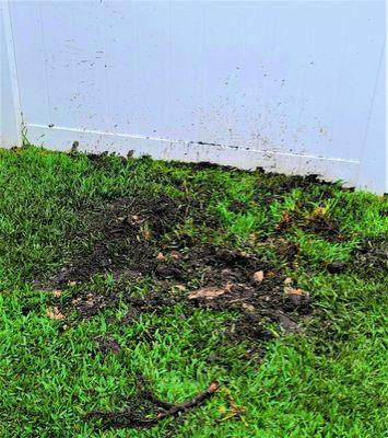 How workmen from Advanced Landscape Irrigation left my yard