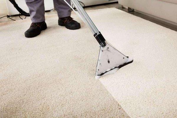 TC Carpet Cleaning