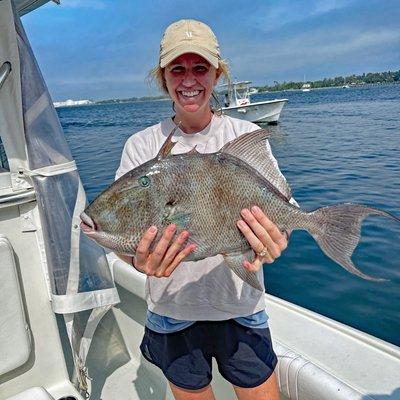 BIG Triggerfish