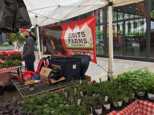 Smits Farms=fresh herbs and beautiful flowers!