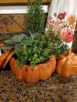 Ceramic pumpkins