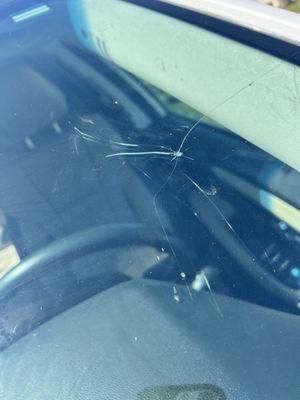 Where they cracked my windshield.