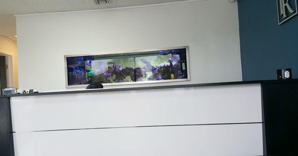 Reception Desk behind which is a gorgeous fish tank.