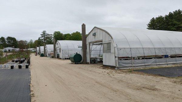 Lots of greenhouses!