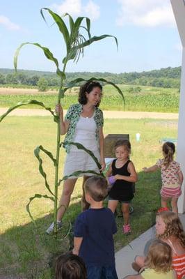 Sycamore Saplings - A program for kids to learn about the farm, how food grows and participate in fun activities on the farm.