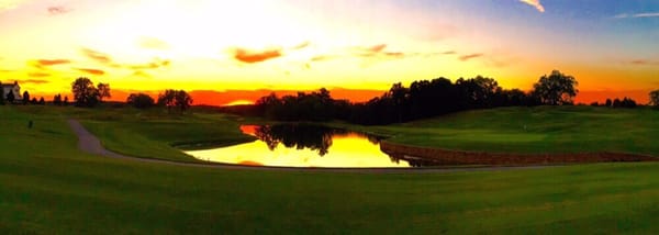 View from the patio.