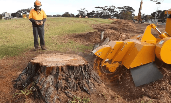 Stump Grinding Greenville