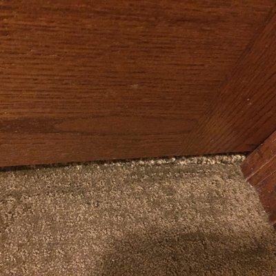 Carpet One Flooring