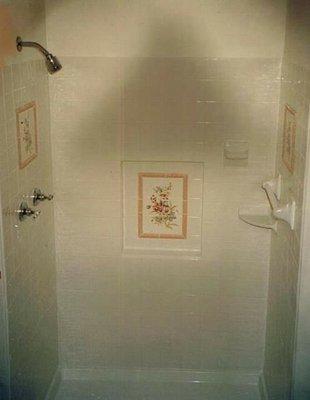 Shower Decorated Tiles