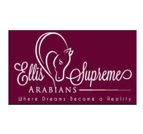 Ellis Supreme Arabians