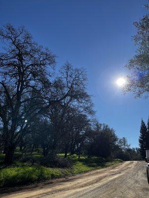 Pretty day to check out the farm.