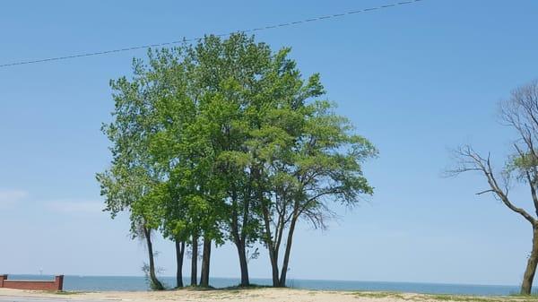 Can barely see the sand "beach" on the Lake