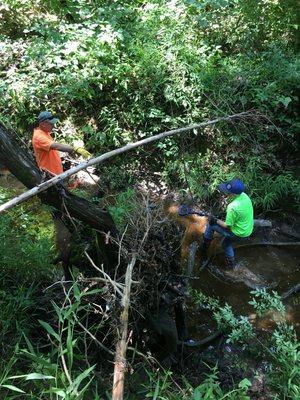 Tri-Point Surveying