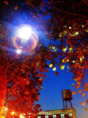 Disco ball in the trees