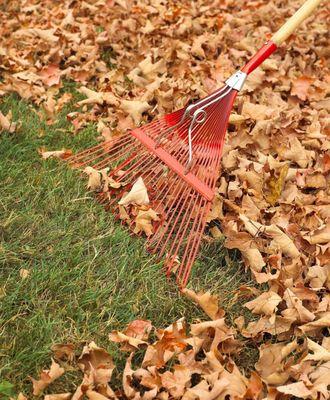 Leaf clean up