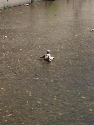 Looks like he's doing pieces in the water