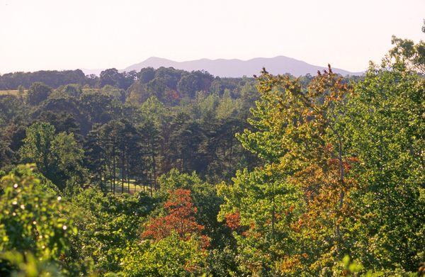 Blue Ridge Mountain View