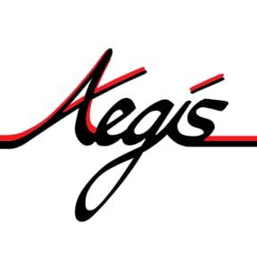 Aegis Electronic Group, Inc.