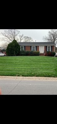 My beautifully moved lawn, thanks to Mr. Mowbile Lawn Care