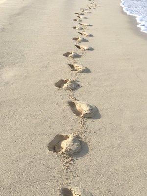 Footprints in Cayman Sand