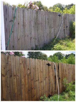 Softwash on aged fencing. Low pressure cleaning method