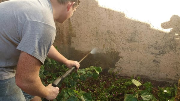 Pressure Washing