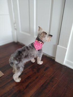 She is ready for mommy to come to show off her new do!