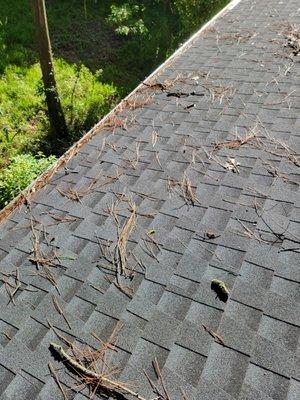 AA Gutter Services