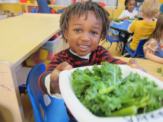 Early Learning Childcare Program