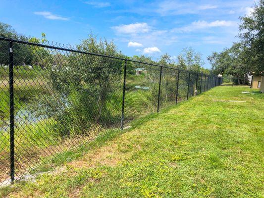 Chain link fences are very popular and Tampa, Florida is no different. tends to be one of the most affordable fencing materials.