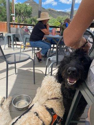 Dog friendly patio.