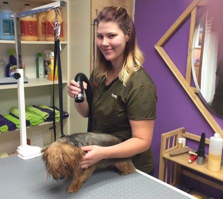 Kelly our fabulous groomer