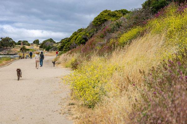 Albany State Marine Reserve