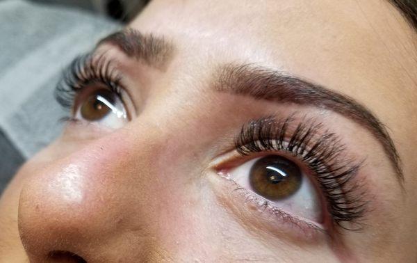 Volume Lashes