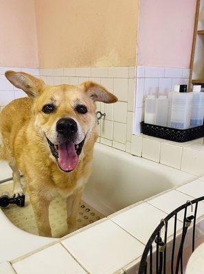 Enjoying a morning shower