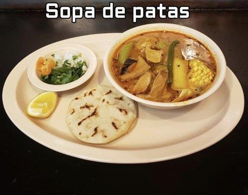 Sopa de patas