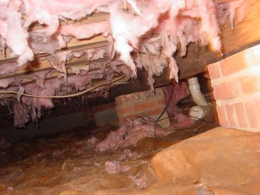 Typical Older Crawlspace Before