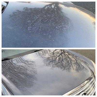 Refinished hood on a 13-year-old Infiniti