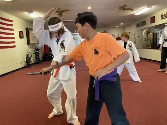 Havasu Shaolin Kempo