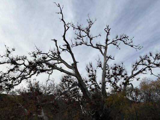 Fort Ord National Monument Badger Hills Trail Head