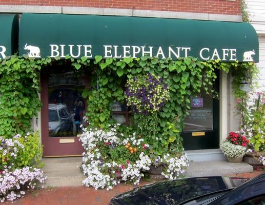 Summertime at the Blue Elephant Cafe.