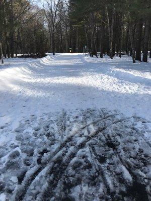 Pine Street Bike / Pedestrian Trail