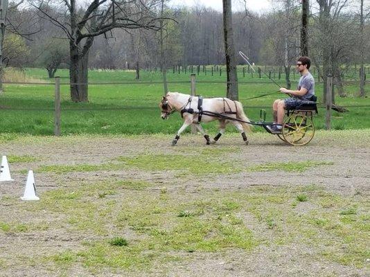 The husband driving out in their outdoor ring that has ringside seating and some really nice footing!