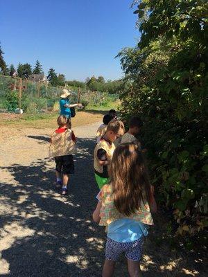 Our close proximity to Luther Burbank Park allows us to use it for outdoor education.  Today the children went berry hunting there!