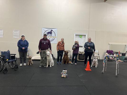 Therapy Dog prep class