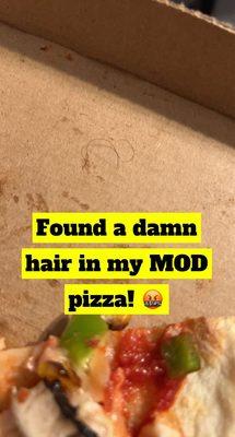 A hair was in my pizza