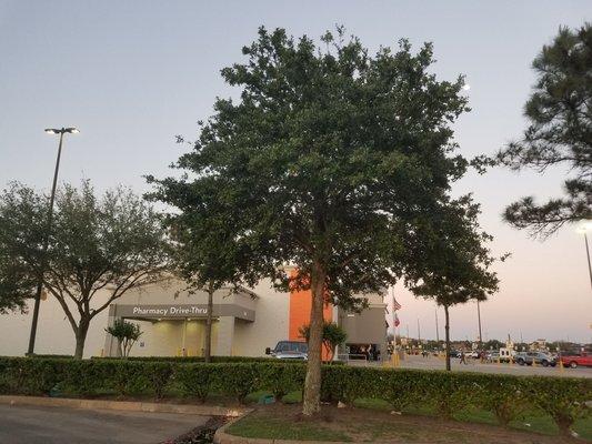 The Clinic at Wal-Mart Operated by Christus Medical Group