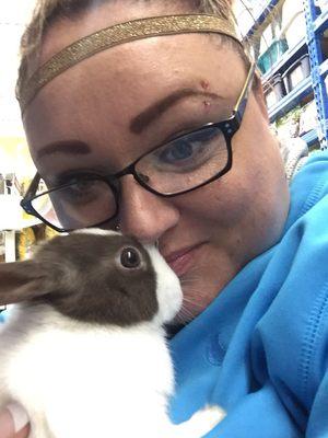 My bunny aria I purchased