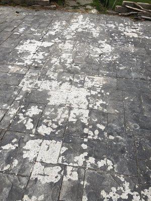 Stamped concrete patio fail